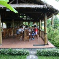 lunch at the restaurant #1