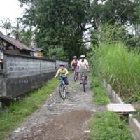 green countryside #1