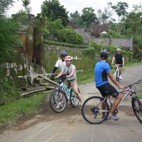 green countryside #2