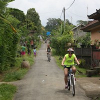 countryside village's roads #1