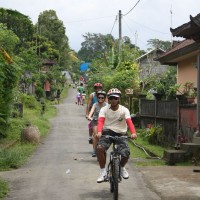 countryside village's roads #2