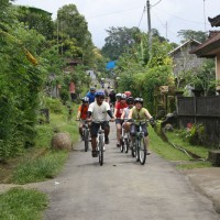 countryside village's roads #3
