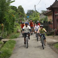 countryside village's roads #4