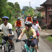 countryside village's roads #5