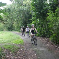 bali village back roads #2