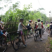 bali village back roads #3