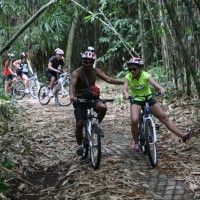 bamboo forest cycling #1
