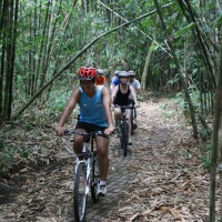 bamboo forest cycling #5