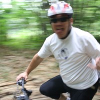 inside bamboo forest #1