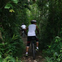 cycle through plantation #1