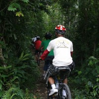 cycle through plantation #2