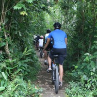 cycle through plantation #4