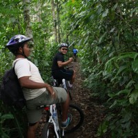 cycle through plantation #5