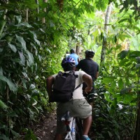 cycle through plantation #6