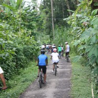 another countryside #1