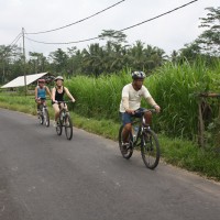 rural bike tracks #2