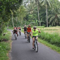 rice paddies cycling #2