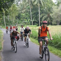 rice paddies cycling with group