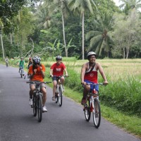 rice paddies cycling #4