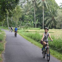 rice paddies cycling #5