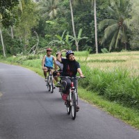 rice paddies landscape #2