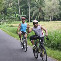rice paddies landscape #3
