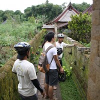 Entering Balinese house compounds at Penglipuran