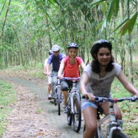 Bali Hai bike inside bamboo forest #1