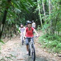Bali Hai bike inside bamboo forest #4