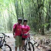 photo inside bamboo forest