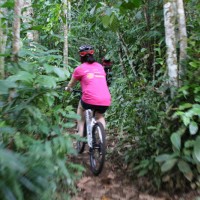 cycling through plantation