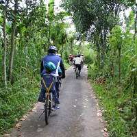 cycling through green countryside