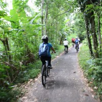 green village's back roads