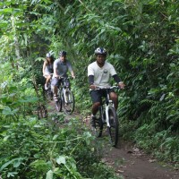 ride through plantation
