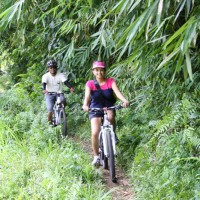 riding through bamboo forest