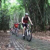 riding inside the bamboo forest