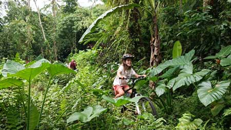 Another ride in the jungle