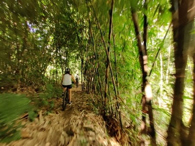 Bamboo forest cycling tracks - off roads 01