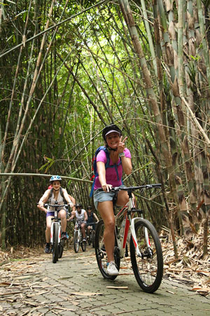 Riding through the Bamboo forest