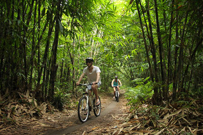 Bamboo forest bike ride