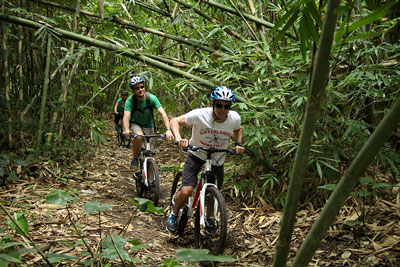 Bamboo forest off-road bike tour