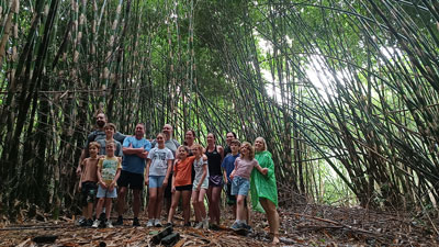 Bamboo forest cycling tracks - group 01