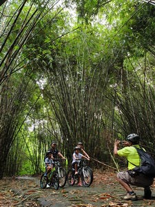 Bamboo forest cycling tracks - family ride 04