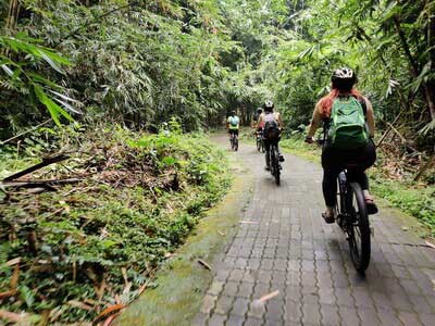 Bamboo forest cycling tracks - friends 02