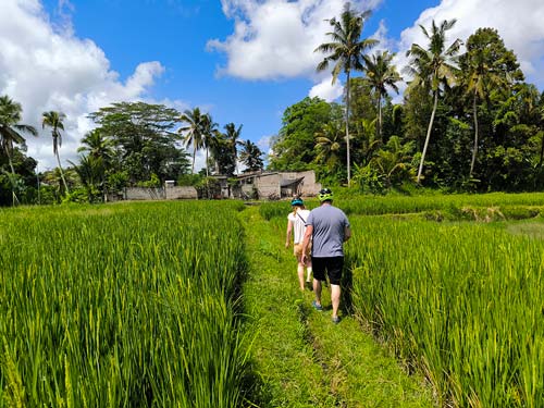 Nathalie de Jongh (Netherlands) - Private Bike Tour - Rice Fields