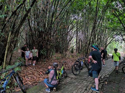 Rob Smith (Australia) - Ultimate Bike Tour - Bamboo Forest