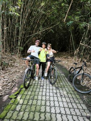 Andreas - Bamboo Forest