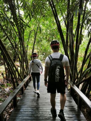Gioele - Bamboo Forest bridge