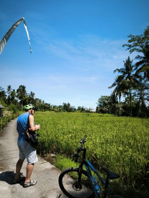Loretta - Rice field terrace