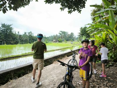 Stefano - Rice field terrace